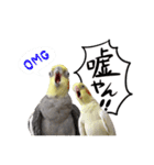 宇宙インコ（オカメの親子）（個別スタンプ：28）