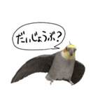 宇宙インコ（オカメの親子）（個別スタンプ：29）
