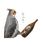 宇宙インコ（オカメの親子）（個別スタンプ：33）