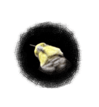 宇宙インコ（オカメの親子）（個別スタンプ：36）