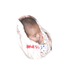 こっったーん（個別スタンプ：8）