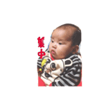 こっったーん（個別スタンプ：10）