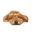 おねむ犬（個別スタンプ：4）