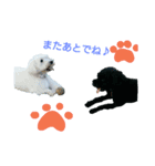 coco＆may（個別スタンプ：2）
