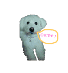 coco＆may（個別スタンプ：5）