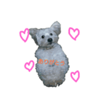 coco＆may（個別スタンプ：7）