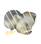 Q bird Never die（個別スタンプ：2）