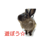 うさぎもみちゃん 2（個別スタンプ：4）