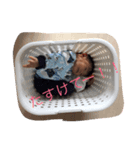 大貴くんスタンプ（個別スタンプ：3）