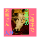 ワビサビの日常（個別スタンプ：3）