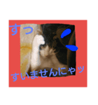 ワビサビの日常（個別スタンプ：6）