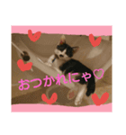 ワビサビの日常（個別スタンプ：7）