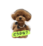 kswaii dog3（個別スタンプ：13）