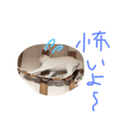 ウチの猫ちゃん（個別スタンプ：12）