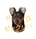 ちいfam（個別スタンプ：14）