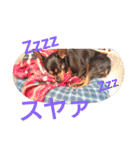 ちいfam（個別スタンプ：15）