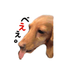 Icchanmicchanstamp4（個別スタンプ：11）