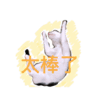 little tiger and little master（個別スタンプ：2）
