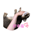 little tiger and little master（個別スタンプ：15）