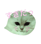 白猫かりん〜秋田弁〜（個別スタンプ：11）