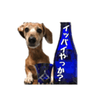 6ワンスタンプ（個別スタンプ：8）