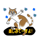 猫のビビと楽しい仲間たち （第3弾）（個別スタンプ：31）