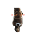 大好き愛犬（個別スタンプ：3）