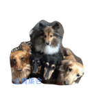 大好き愛犬（個別スタンプ：7）