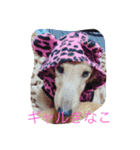 大好き愛犬（個別スタンプ：14）