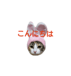 みこちゃんの日常語（個別スタンプ：7）