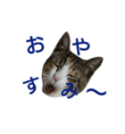 みこちゃんの日常語（個別スタンプ：9）