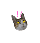 みこちゃんの日常語（個別スタンプ：14）