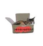 みこちゃんの日常語（個別スタンプ：15）