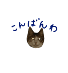 みこちゃんの日常語（個別スタンプ：20）