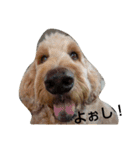 ゆうまさんの日常（個別スタンプ：2）