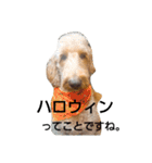 ゆうまさんの日常（個別スタンプ：19）