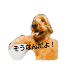ゆうまさんの日常（個別スタンプ：22）