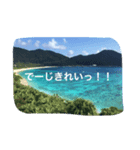 変な沖縄方言（個別スタンプ：1）