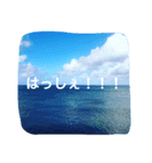 変な沖縄方言（個別スタンプ：7）