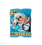 あたし、犬社長でございます（個別スタンプ：2）