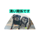 あたし、犬社長でございます（個別スタンプ：3）