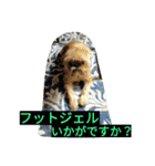 あたし、犬社長でございます（個別スタンプ：5）