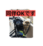 あたし、犬社長でございます（個別スタンプ：9）