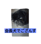 あたし、犬社長でございます（個別スタンプ：10）