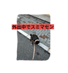 あたし、犬社長でございます（個別スタンプ：12）