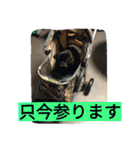 あたし、犬社長でございます（個別スタンプ：18）