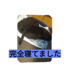 あたし、犬社長でございます（個別スタンプ：20）
