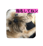 あたし、犬社長でございます（個別スタンプ：21）