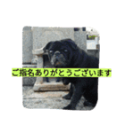 あたし、犬社長でございます（個別スタンプ：23）