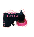 くろちゃん①（個別スタンプ：12）